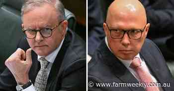 PM predicted to call election Friday, stealing Dutton's budget reply thunder