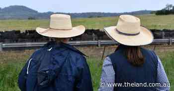 Two Chicks, No Rooster: When is it acceptable to contact an ex? Not often