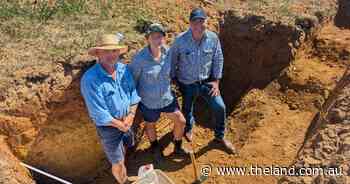 'Not a charity': producers look for opportunities as consumers call for accountability