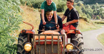 ‘Holy Cow’ Review: How to Become a Big Cheese