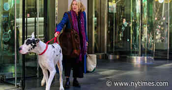 ‘The Friend’ Review: The Writer vs. the Great Dane