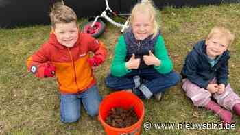 Paddenoverzet is achter de rug: "Dubbel zoveel amfibieën als vorige twee jaren"