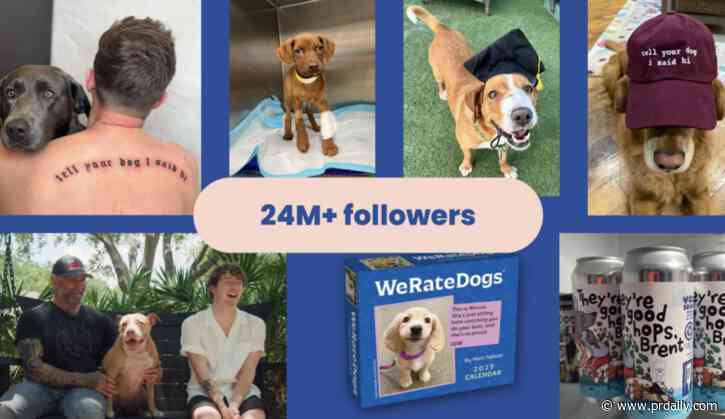 How WeRateDogs’ community-building strategy — and color-coded database — unlocks 13/10 performance 