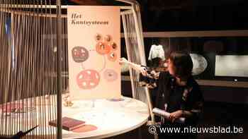 ‘Kant Ontrafeld’ is de nieuwe opstelling rond kantnijverheid in Taxandriamuseum: "Tot in jaren 1960 waren er Turnhoutse kantkantoren”