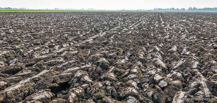 Boeren geloven in grond, prijzen harder gestegen