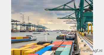 Antwerpse haven overbelast: bedrijven haasten zich om goederen naar VS te versturen