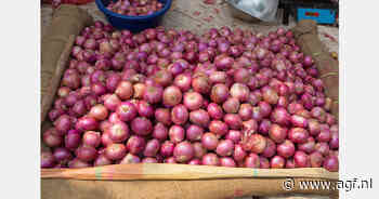 Filipijnen verkoopt 2.300 ton import rode uien