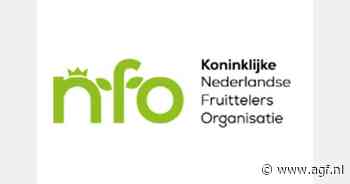 Siep Koning stopt per 1 augustus als directeur bij NFO