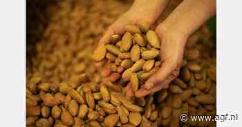 Siciliaanse amandel klaar voor internationale markt