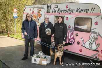 Voetbalclub schenkt kapotte ballen aan dierenasiel