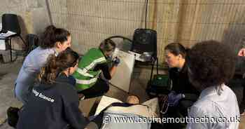 Students prepare for 'alien invasion' in paramedic training exercise