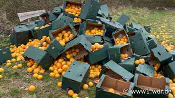 Tausende Orangen illegal entsorgt