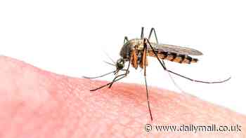 Urgent warning over 'record high' levels of killer 'bone breaker' virus landing in the UK