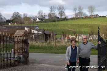 Zal nieuwe alpacastal uitzicht op Paterberg veranderen? “We ruimen de oude vervallen gebouwen met asbest net op”