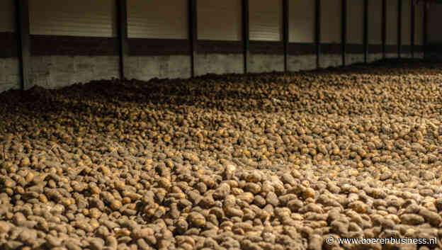 Contractbreuk wordt niet gepikt in België