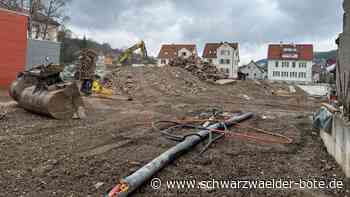 30 Millionen liquide Mittel: Nagold bekommt sein Geld  nicht ausgegeben