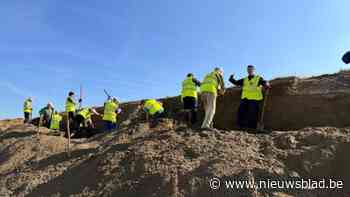 Vrijwilligers helpen oeverzwaluw aan nieuwe nestplekken naast de A12