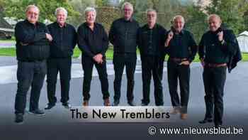 The New Tremblers brengt ode aan The Shadows in Pertsgad