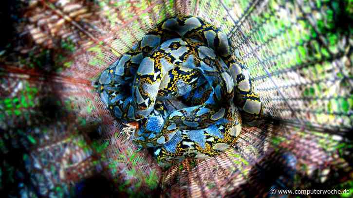 Python offline installieren