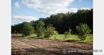 "50% korting op agroforestry-advies"