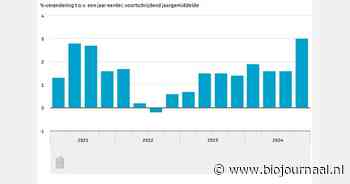 Huishoudinkomen stijgt met 3% in 2024, hypotheekschuld groeit verder
