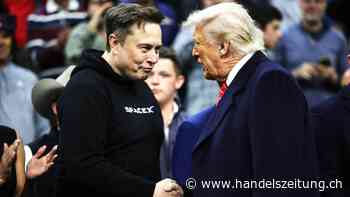 Musk ist der heimliche Gewinner von Trumps Zoll-Hammer