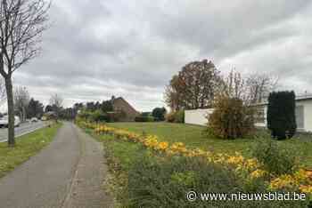 McDonald’s krijgt groen licht voor vestiging langs steenweg