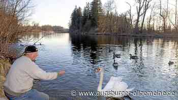 Die Wertach: Lebensader und Naherholungsgebiet