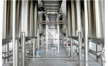 French biotech firm introduces precision fermentation dairy proteins