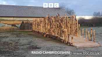 Walking in Bronze Age footsteps