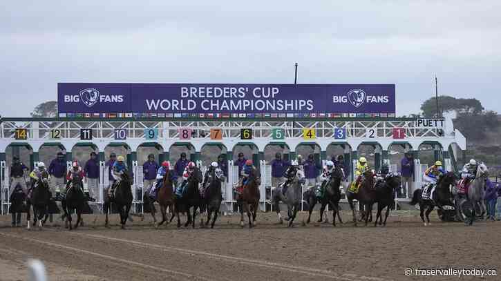 Grade 1 E.P. Taylor Stakes turf race added to Breeders’ Cup Challenge Series