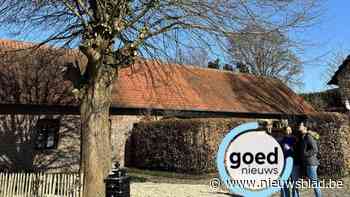 Hoeve met 19de-eeuwse linde verkozen tot mooiste Erf-goed van As: “Duitsers aten boterhammen op onder deze boom”