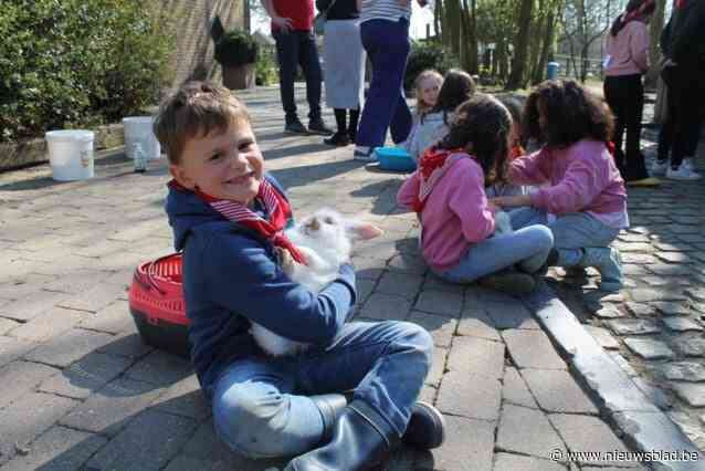 Honderd jaar oude hoeve laat jaarlijks duizenden leerlingen kennismaken met boerenleven: “Vanmorgen probeerde een koe met haar tanden mijn broek af te trekken”