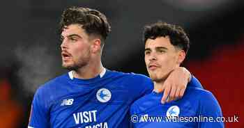 Cardiff City trio set for return but forward pair doubtful after fresh injury concerns