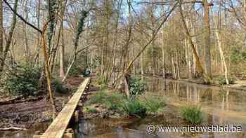 Nieuwe infrastructuur in park Zellaer zorgt voor betere toegankelijkheid