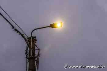 Gemeente dimt straatverlichting vanaf midden april: “Rust van nachtdieren beschermen”