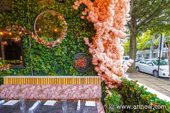 Spring is here: Where to enjoy beer gardens, patios and outdoor dining in Arlington