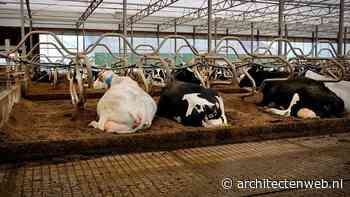 Organisaties willen sneller actie van politiek in stikstofcrisis