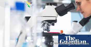 Researchers develop AI tool that could speed up coeliac disease diagnosis