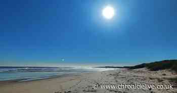 Calls for action on dog poo "crisis" blighting Northumberland beauty spots such as Druridge Bay