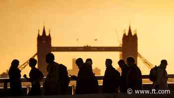 ‘Wild loophole’ allows non-UK residents to apply for full state pension