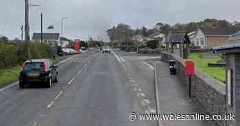 Huge sum of money seized from unlicensed dog breeders who bred multiple litters