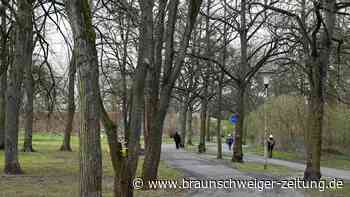 Der Kleistpark ist Wolfsburgs Golf von Amerika