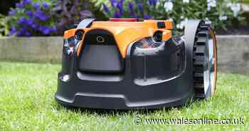 'Clever' garden gadget where shoppers get 'simply brilliant' lawn results cut in price in Amazon Spring Sale