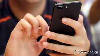 Canadians alarmed by text messages asking their vote preference. Then their postal code. Then their name