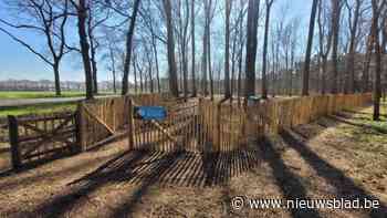 Eindelijk! Hondenlosloopzone in natuurdomein De Merel is klaar voor gebruik