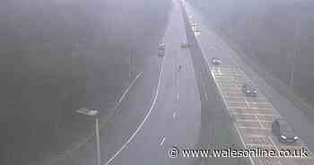 Live updates as crash shuts one lane on M4 near Pont Abraham roundabout
