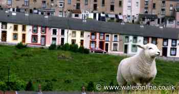 The three areas of Wales where house prices are rising the most