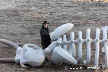 Een wandeling 11.000 jaar terug in de tijd? In Zonhoven wandel je in de voetsporen van onze voorouders