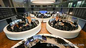 Aktien: Finanzinvestor Warburg Pincus steigt bei Ionos aus